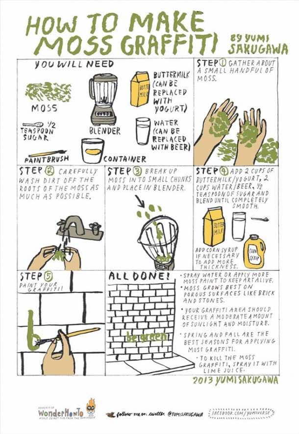 苔藓涂鸦 - 如何做IT2