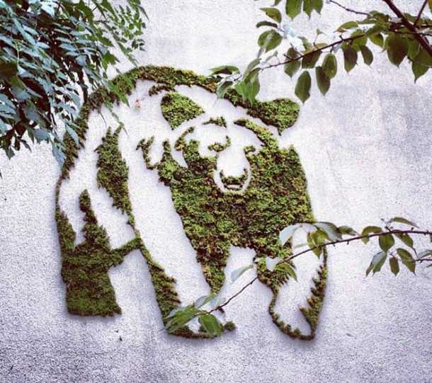 苔藓涂鸦 - 如何做IT3