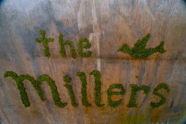 苔藓涂鸦 - 如何做IT7