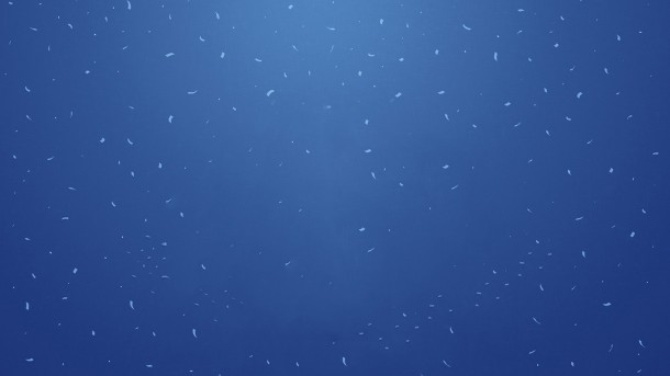 ?????????????????????????????