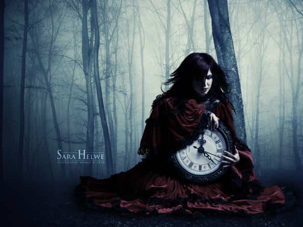 2008年5月25日,蓍草