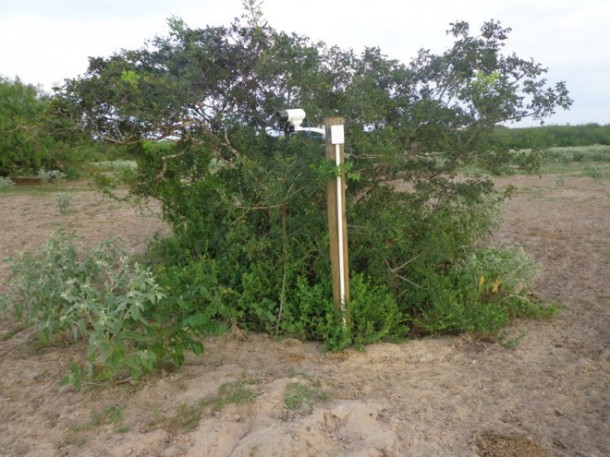 地图集生存避难所-地下掩体25