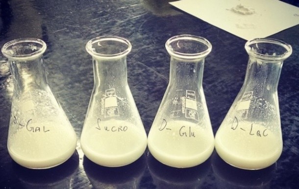 Muufri——牛奶的替代品