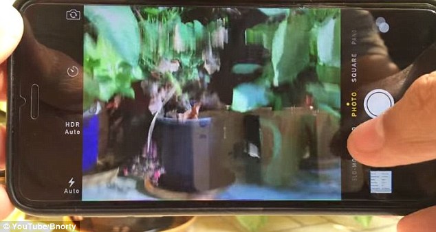 iPhone 6 +又与另一个问题——你苹果