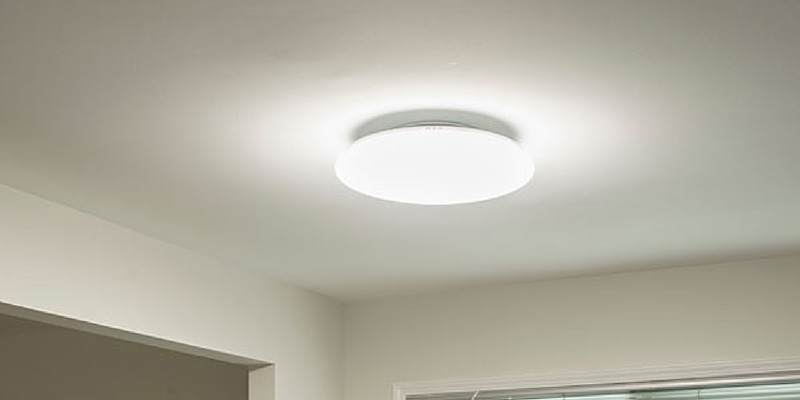 跟光——太阳模仿小8