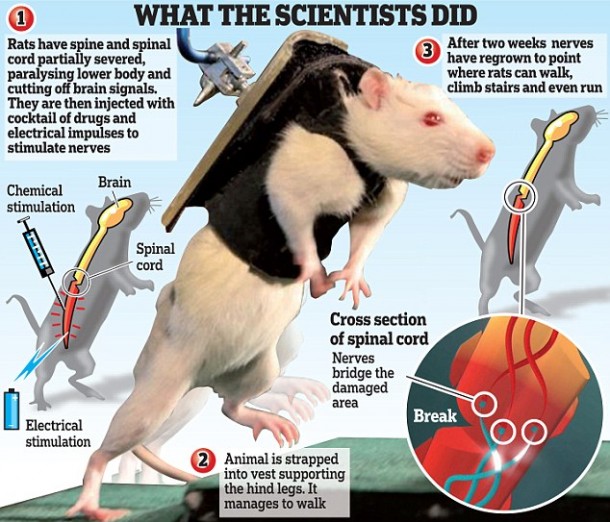 最新的图表模板杰夫9月11日