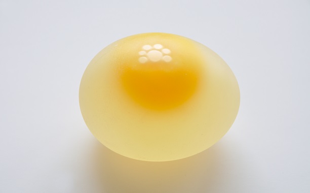 拔鸡蛋 -  uc irvine3