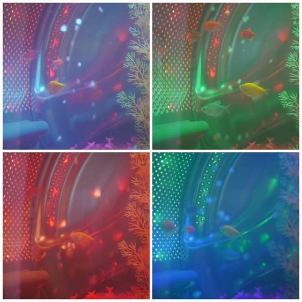 洗衣机变身鱼缸