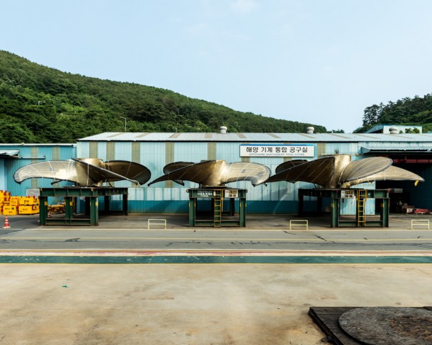 世界上最大的船在韩国建造