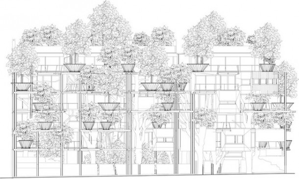 25佛树屋——建筑最好的! 10