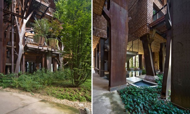 25佛树屋——建筑最好的! 9