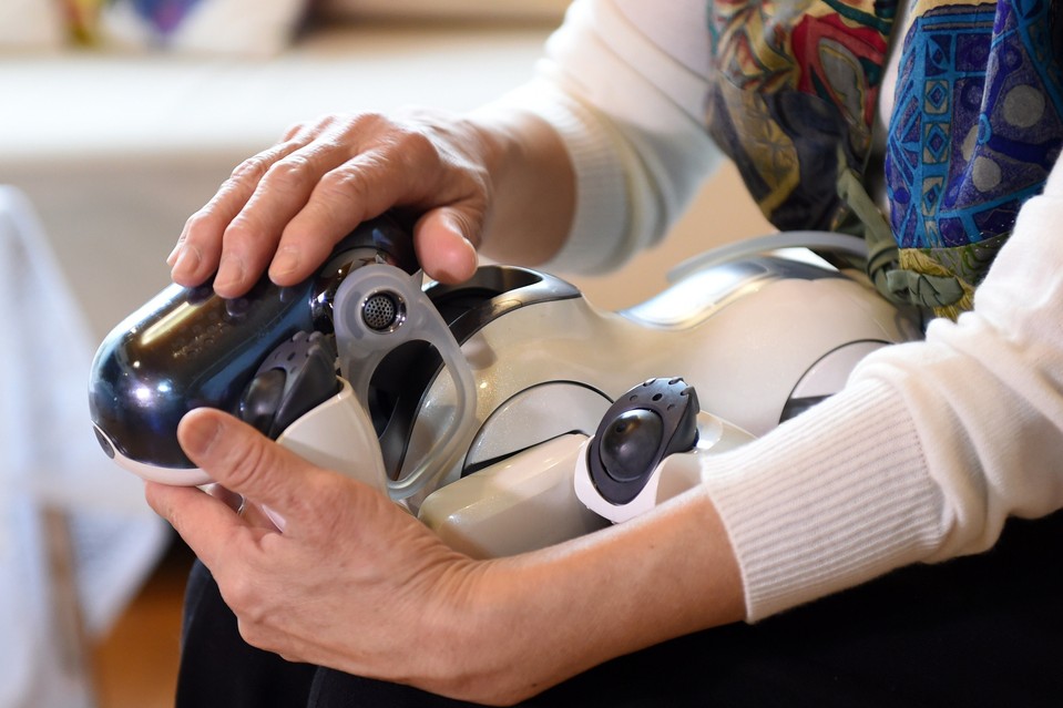 爱宝机器狗的葬礼——机器人在家里4