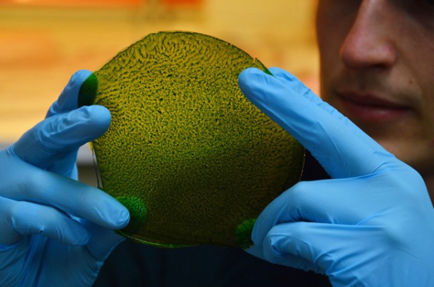 人造树叶可以在太空中制造氧气