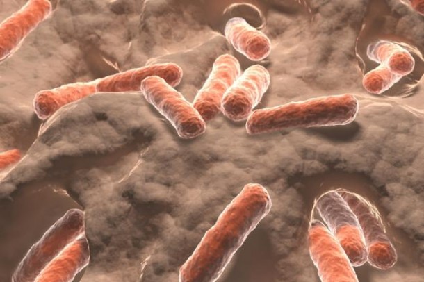 胶囊可测量消化道内气体RMIT