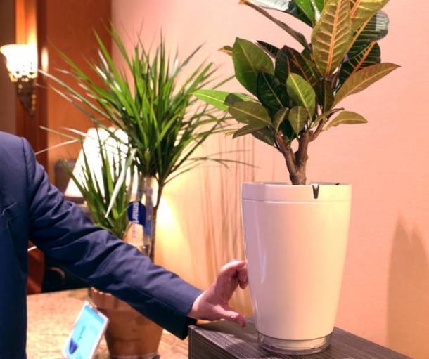 鹦鹉锅 - 自动植物浇水机器人2