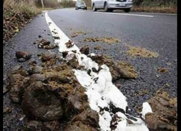 22道路建设失败14