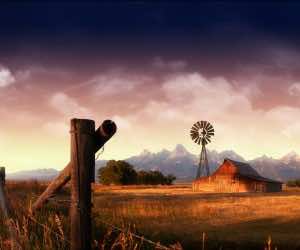 欧斯特ralia wallpaper 1