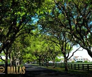 达拉斯壁纸7