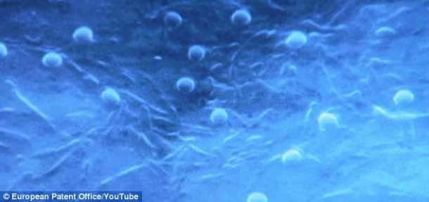 新型混凝土可以自我修复和愈合裂缝