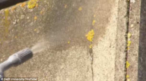 新型混凝土可以自我修复和愈合裂缝