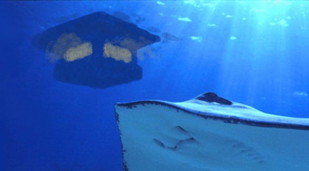 这家水上酒店的下面藏着什么东西