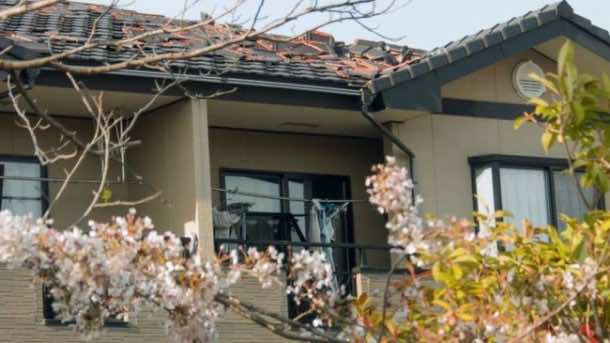 因核泄漏而被遗弃的小镇，这是它现在的样子