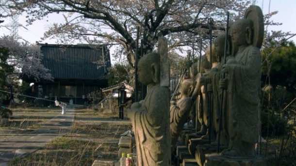 因核泄漏而被遗弃的小镇，这是它现在的样子