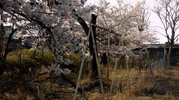 因核泄漏而被遗弃的小镇，这是它现在的样子