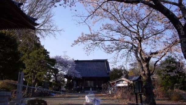 由于核泄漏，城镇被遗弃，这是它现在的样子