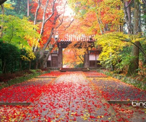 Komyo-ji的彩色秋季场景