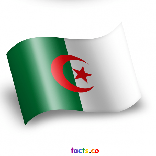 阿尔及利亚国旗(8)