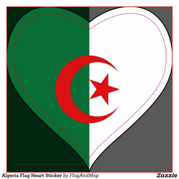 阿尔及利亚国旗(9)