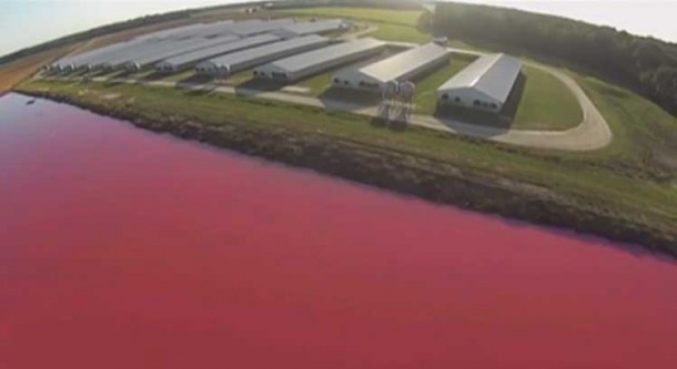 无人机用于揭露美国“最大秘密