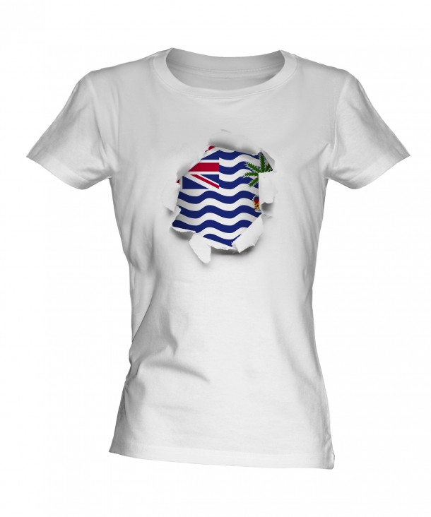 英属印度洋领土(7)