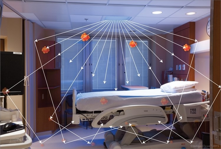 靛蓝清洁是一种杀死细菌的光