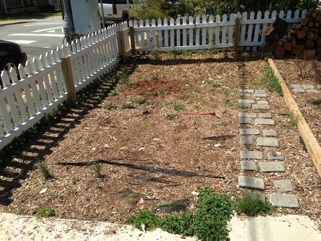 学习如何做一个便宜的为你的前院池塘