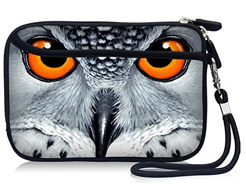 最好的情况下,LG贝洛2 (3)