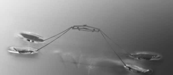 这个机器人可以在水上行走5