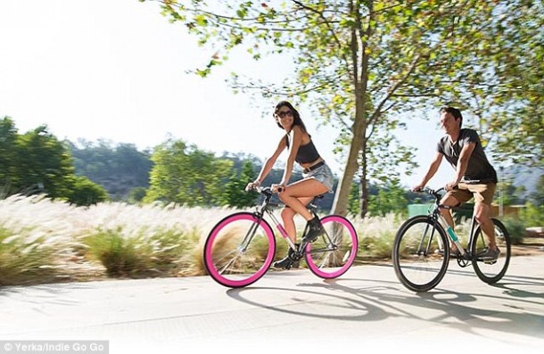 Yerka Unstealable自行车4