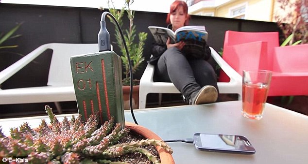 E-Kaia利用能源植物充电智能手机