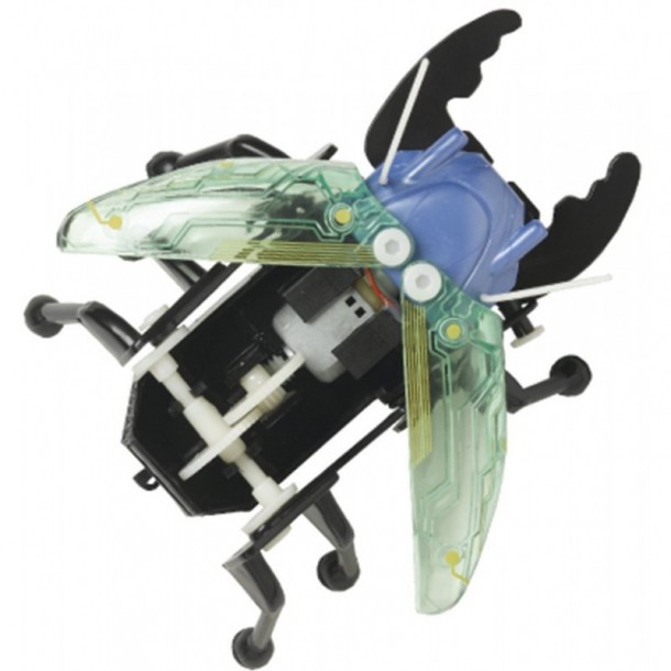 最佳机器人宠物(10)