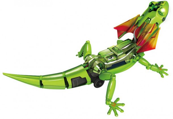 最佳机器人宠物(9)