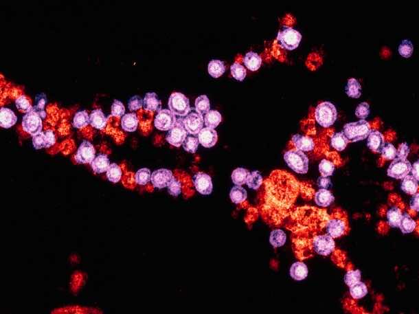 根据比尔·盖茨（Bill Gates）6，2015年的6件事是6