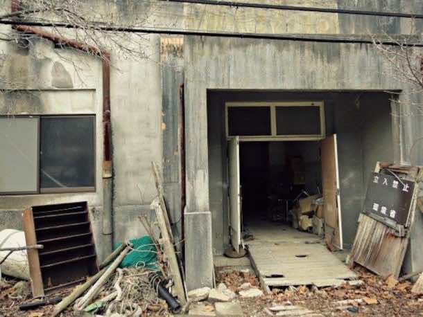 Okunoshima Us agi Jima4