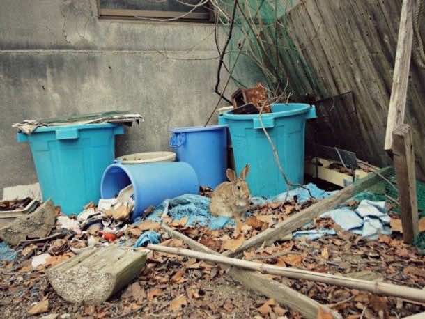 大久之岛Us agi Jima5