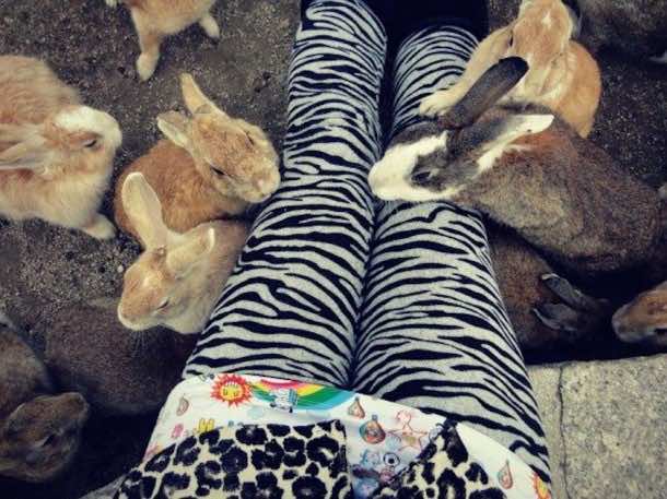 大久之岛Us agi Jima9