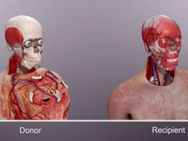 2015年生物医学科学的十大创新