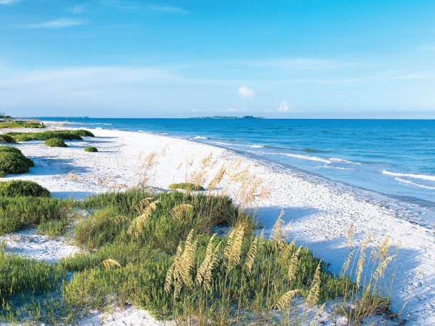 佛罗里达壁纸18