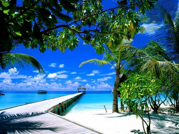 佛罗里达壁纸22