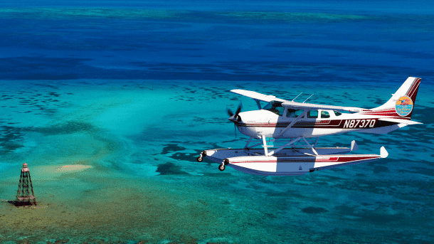 佛罗里达壁纸27